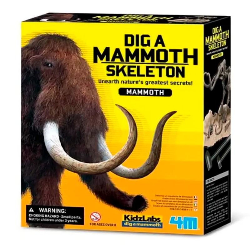 فور إم - مجموعة إستكشاف الهيكل العظمي للماموث