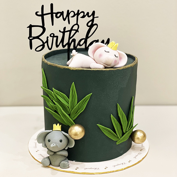 شوكوبوليس - كيك اليفنت