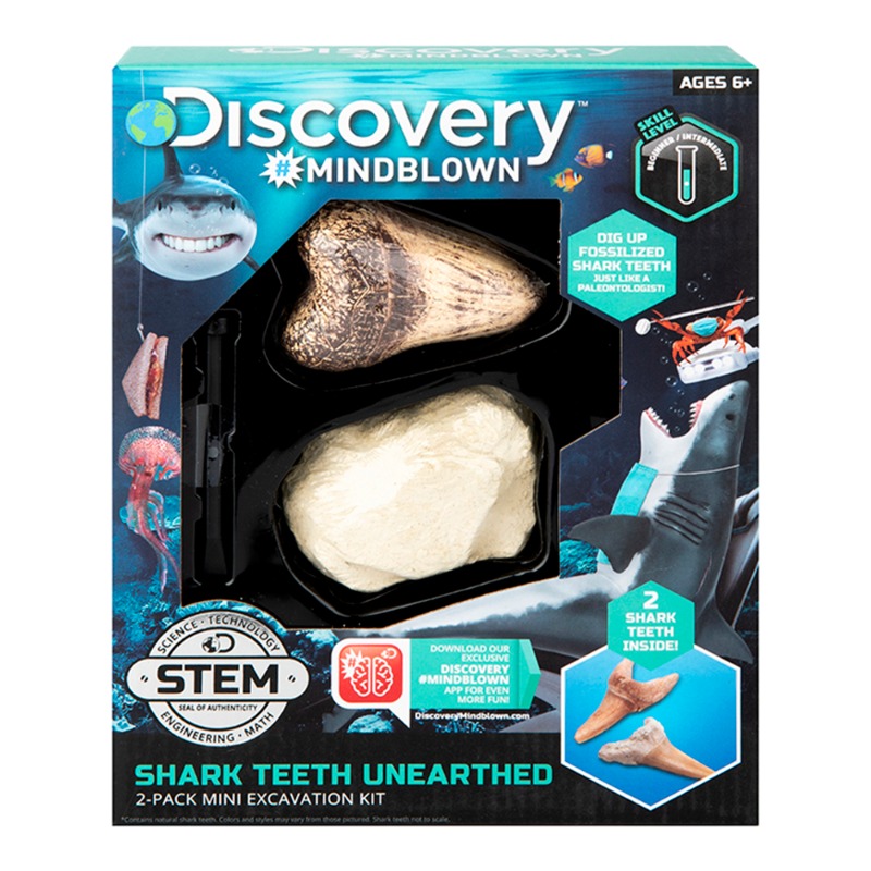 ديسكوفري - مجموعة اسنان القرش من الأثرية 2 قطعة