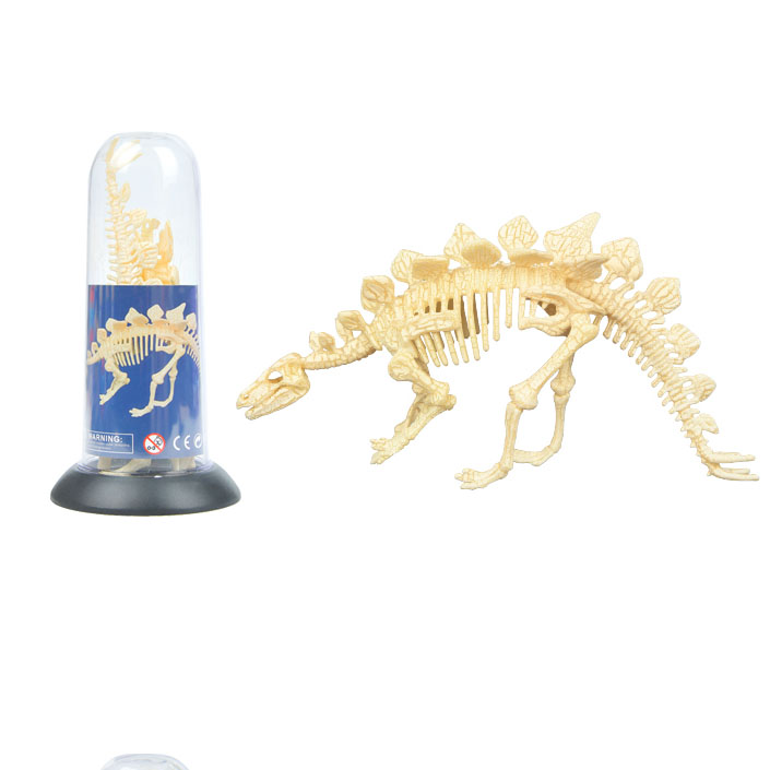 ميدير - مجموعة الهيكل العظمي للديناصور - ستيجوسورس