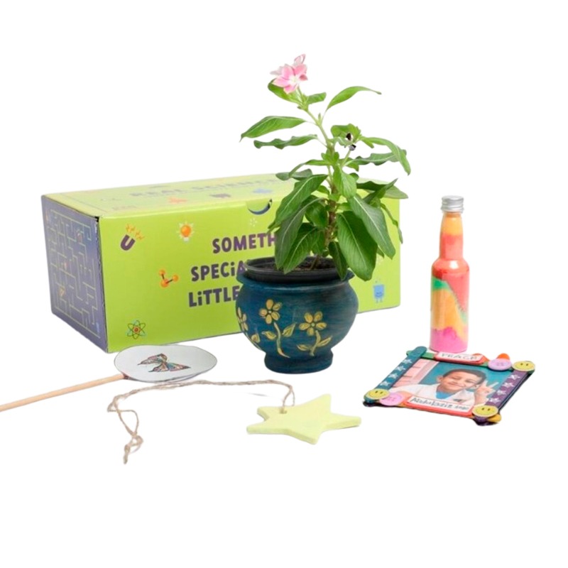 ريل ساينس - صنـدوق الرسم والفنون