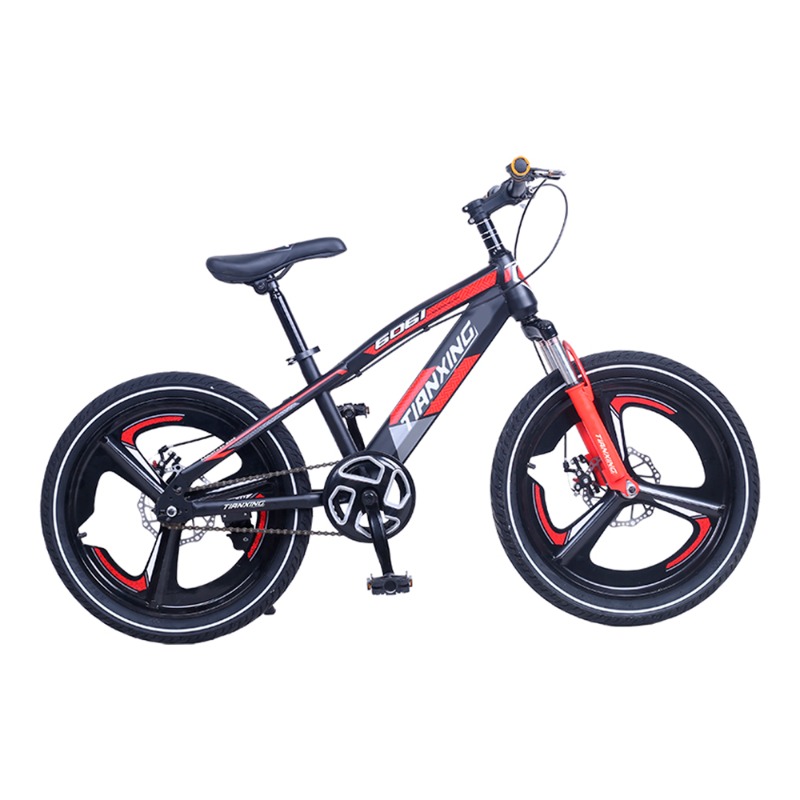 تيانشينغ - دراجة 6061 ثنائية العجلات للأطفال 20 انش
