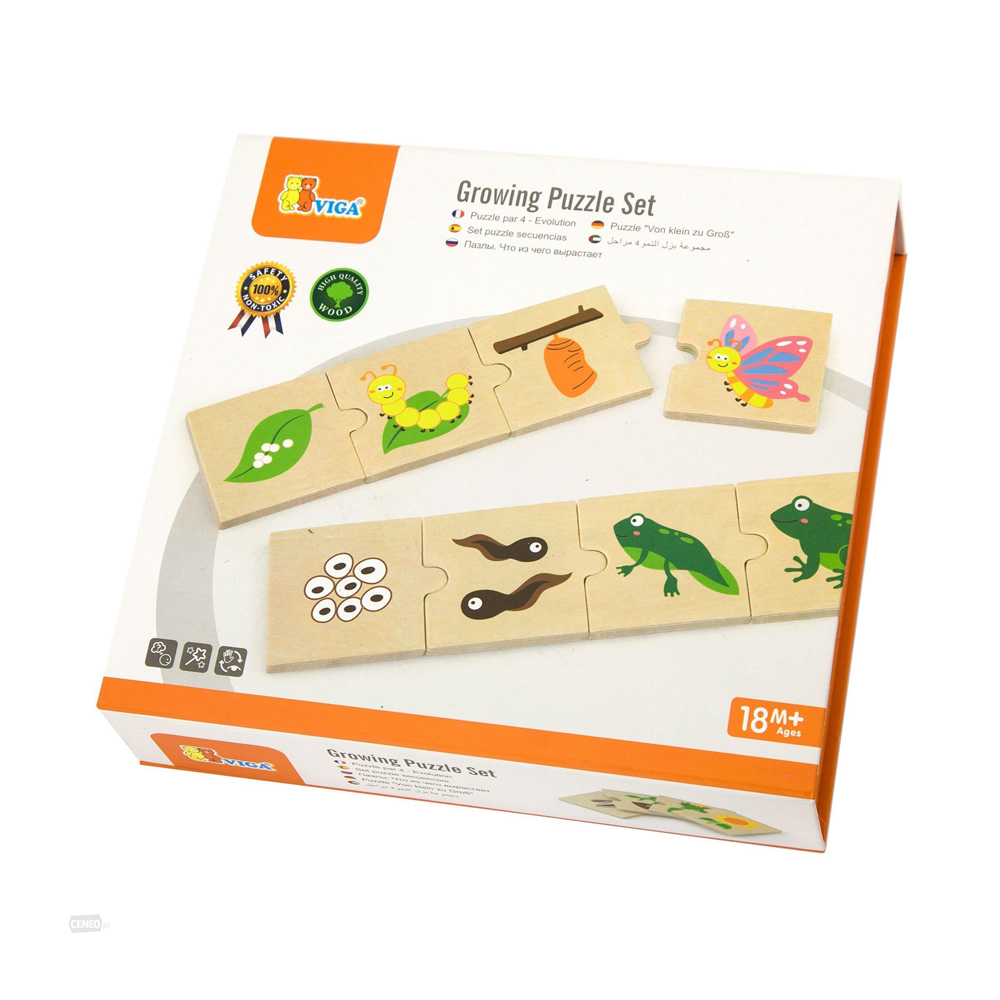 فيجا - مراحل النمو