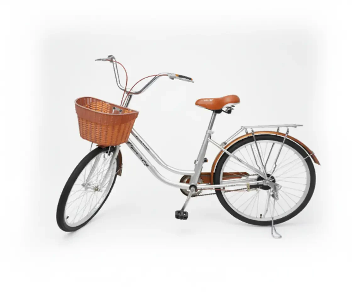 دراجة هوائية 24 بوصة بتصميم عصري مع سلة أمامية