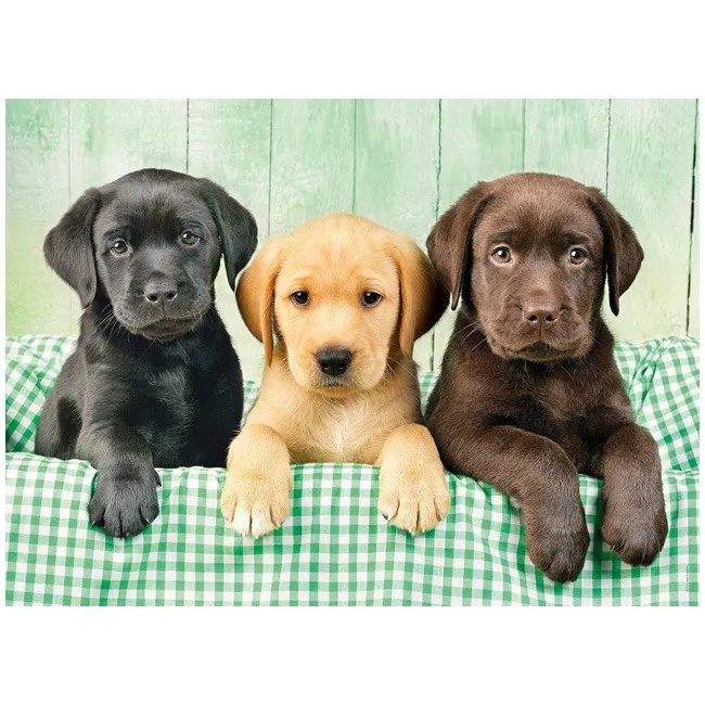 CLEMENTONI HQ COLLECTION THREE LABS - 1000 PCS PUZZLE