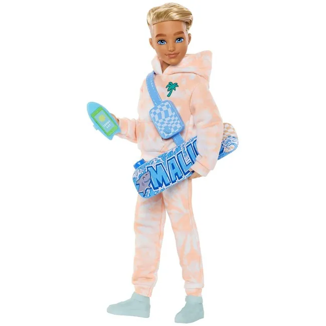 BARBIE DREAM BESTIES DOLL AND ACCESSORIES - KEN DOLL