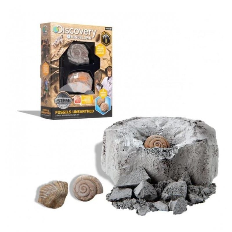 Discovery Kids Excavation Kit Fossil