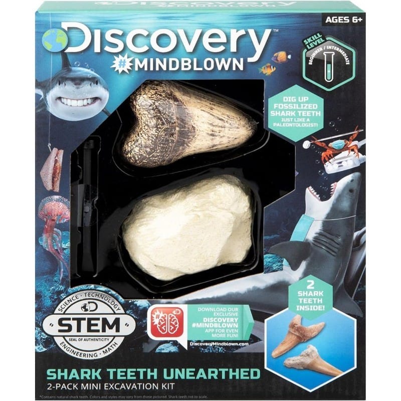 Discovery Kids Excavation Shark Tooth