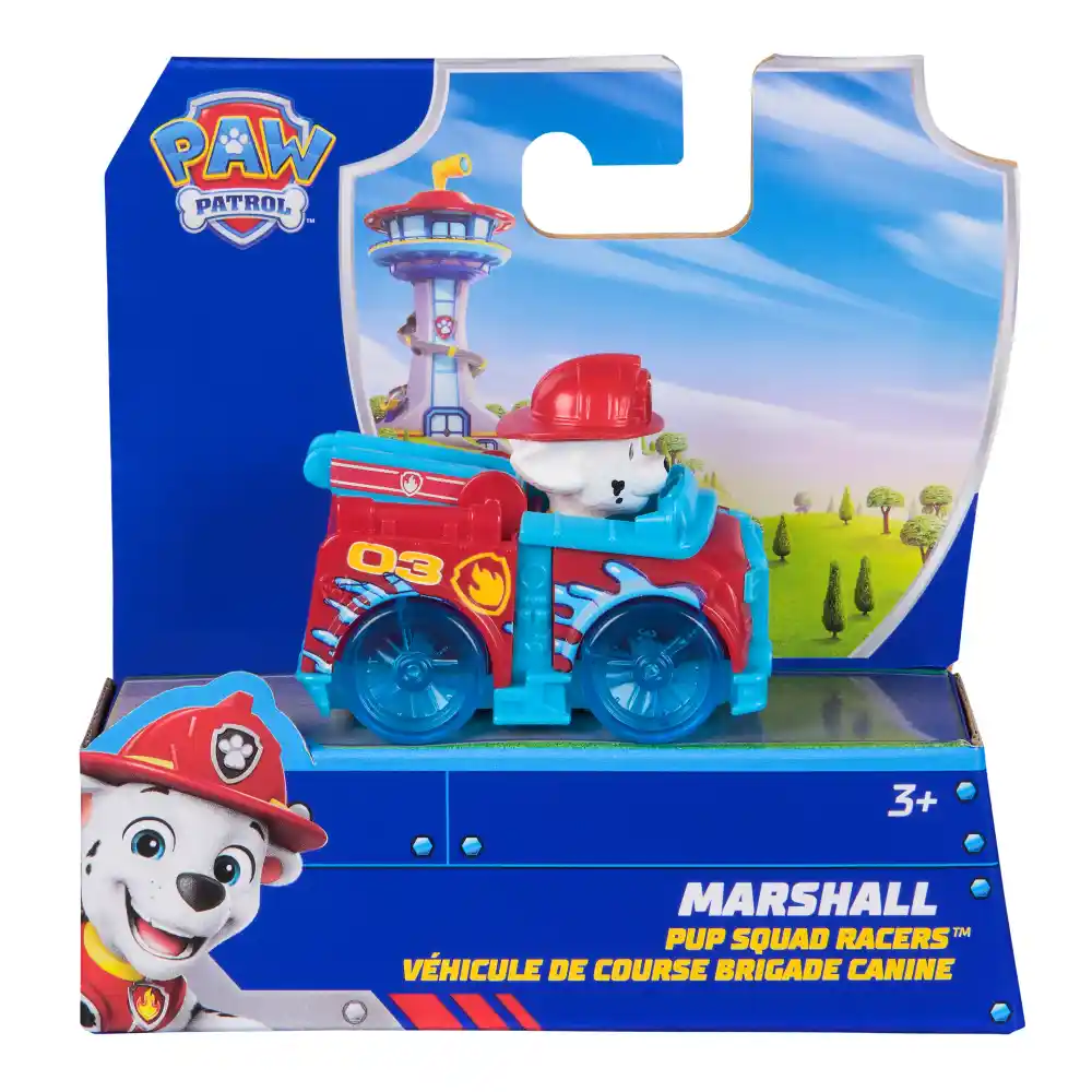 Paw Patrol Pup Squad Racers Asst.