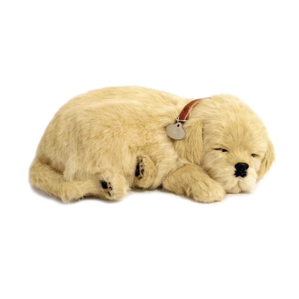 Perfect Petzzz XP91-02 Huggable Golden Retriever Puppy