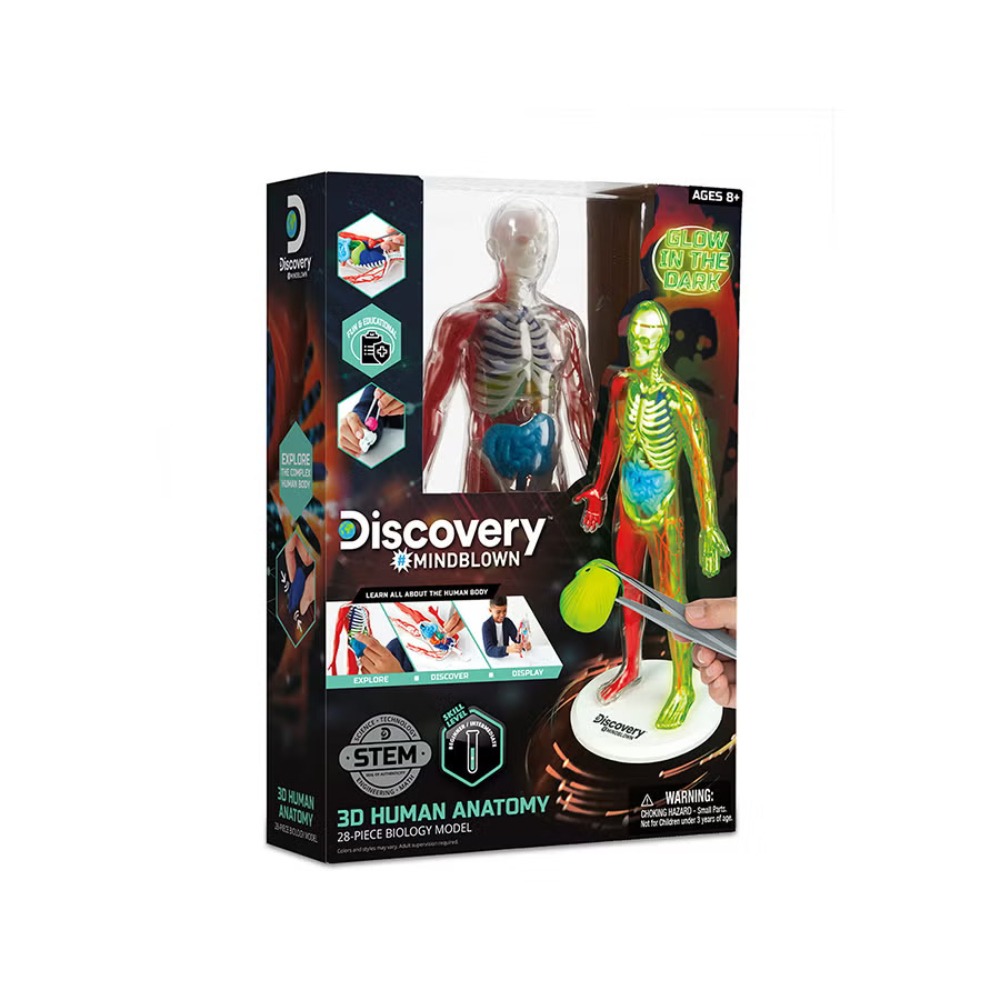 TOY HUMAN ANATOMY KIT