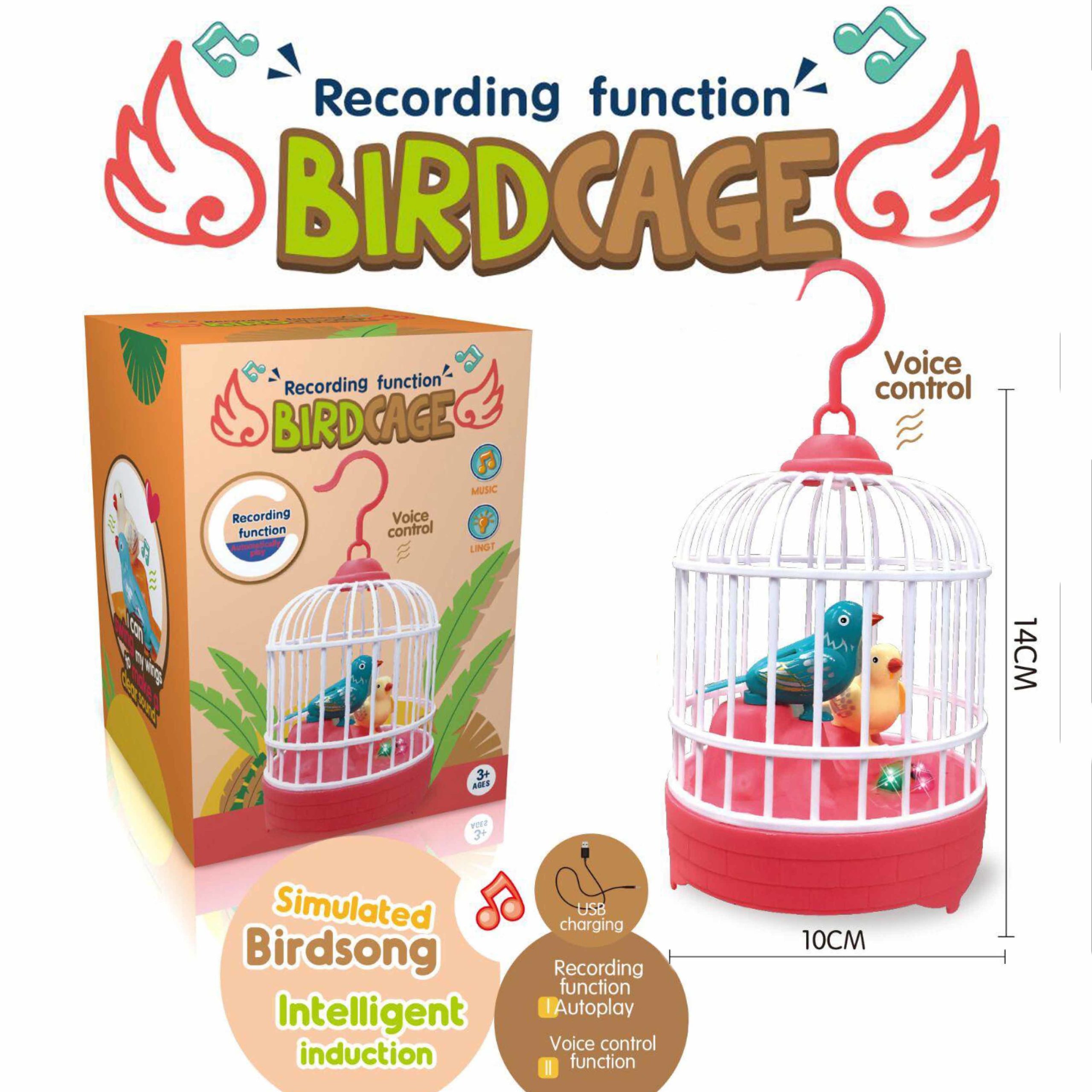 العصفور العجيب