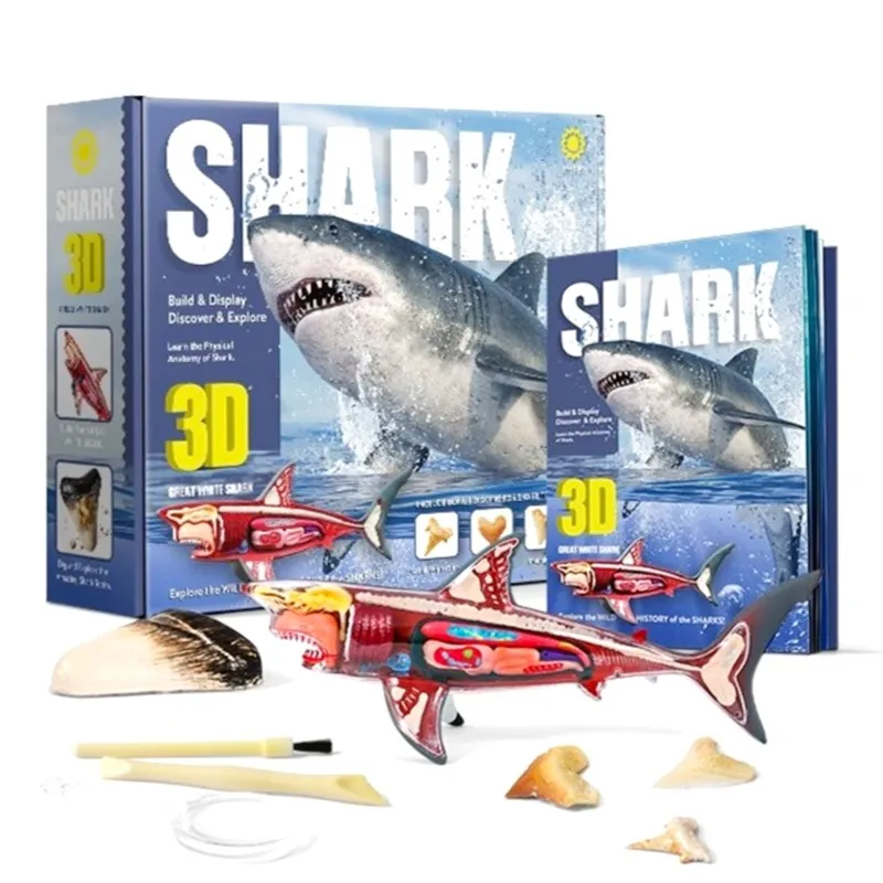3D Shark Anatomy Set