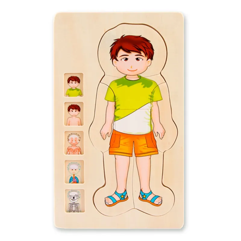 اون شاين – بازل خشبي من 5 طبقات لجسم الإنسان