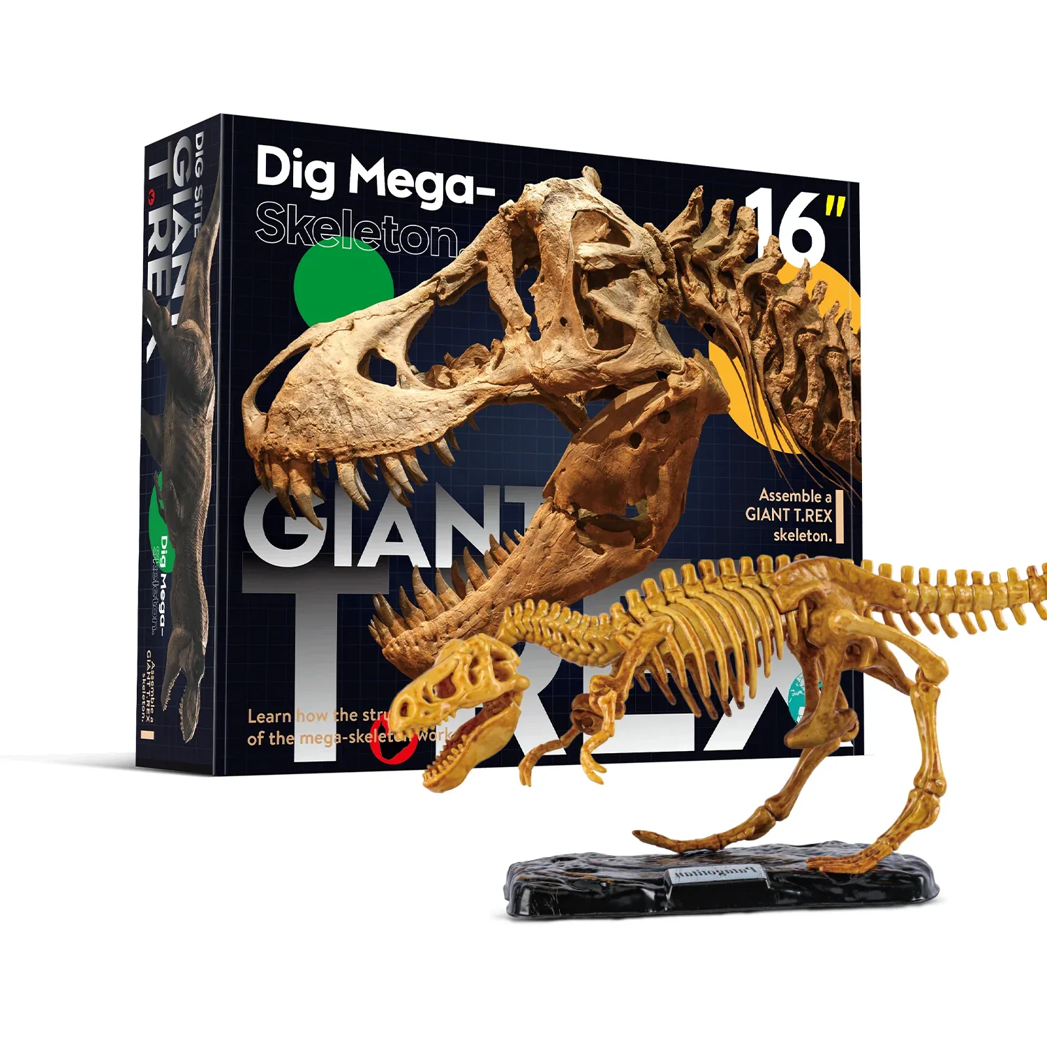 Wow Toys Soil Color Giant Tyrannosaurus Dig 5 Pcs